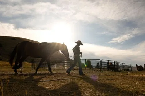 Get to Know the US Women Ranchers Reshaping Modern Farm Life