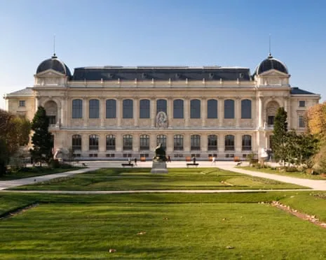 Invaluable Golden Specimens Snatched in Audacious Raid at France's Natural History Institution